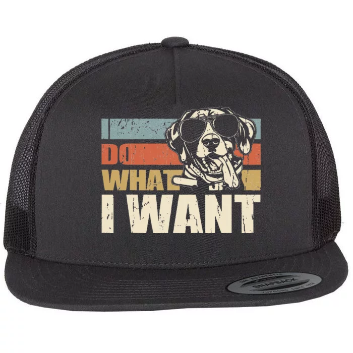 I do what I want funny German Shorthaired Pointer Vintage Flat Bill Trucker Hat