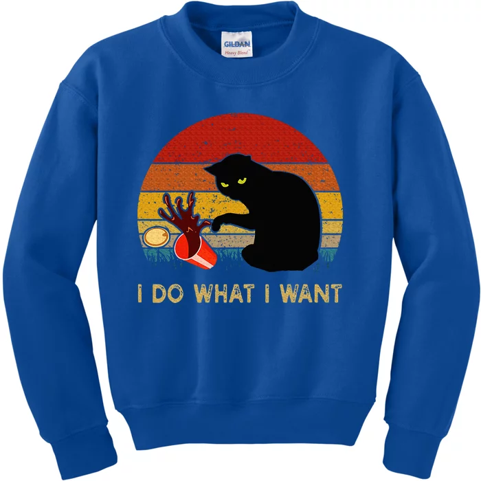 I Do What I Want Funny Black Cat Gifts Kids Sweatshirt