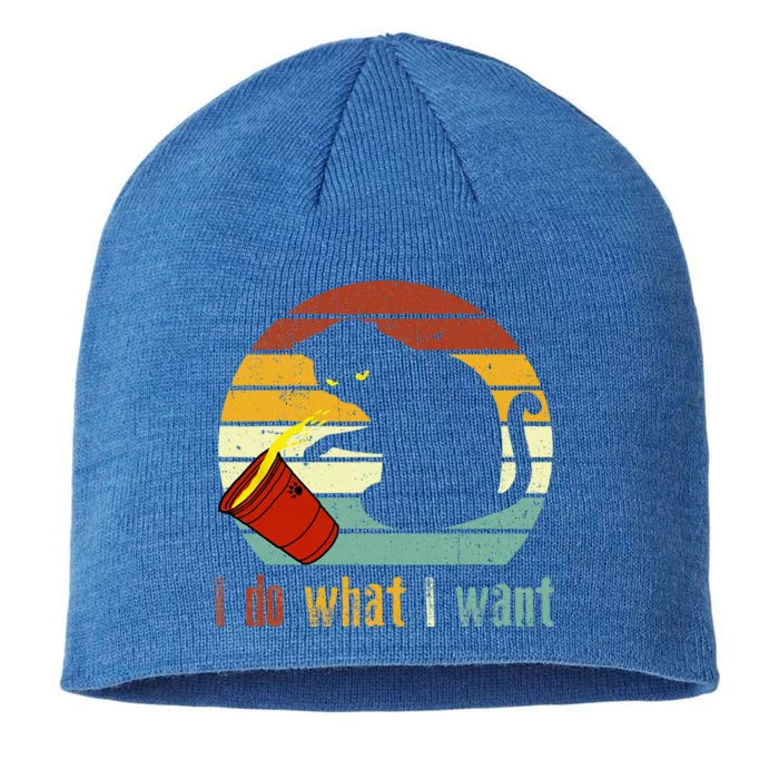 I Do What I Want Cat Coffee Black Cat Red Cup Funny Graphic 8 1/2in Sustainable Knit Beanie