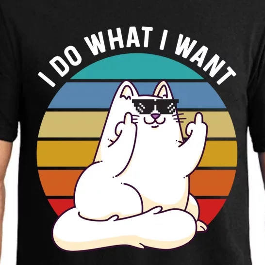 I Do What I Want Funny Cat Attitude Cat Lover Pajama Set