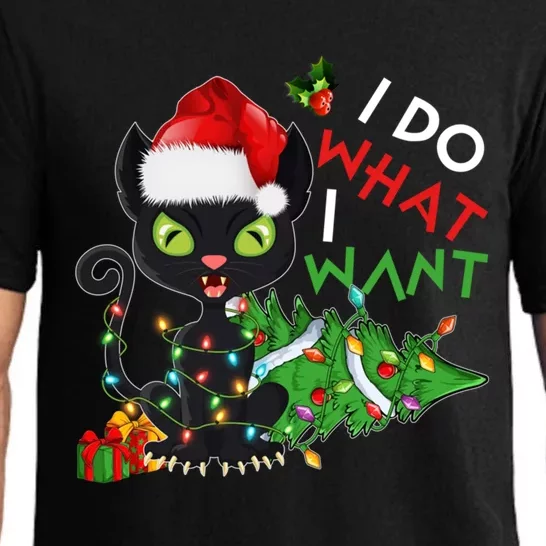 I Do What I Want Christmas Cat Santa Hat Christmas Tree Gift Pajama Set