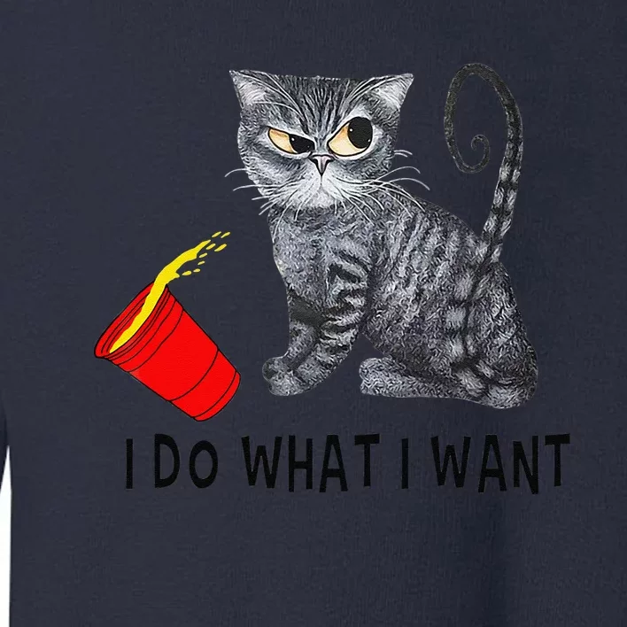 I Do What I Want Cat Coffee Black Cat Red Cup Funny Graphic Gift Toddler Sweatshirt