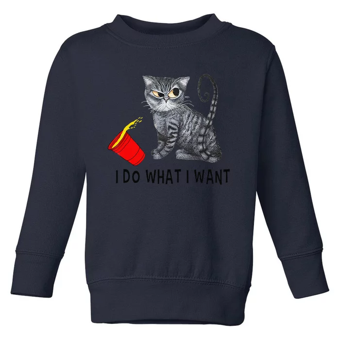 I Do What I Want Cat Coffee Black Cat Red Cup Funny Graphic Gift Toddler Sweatshirt