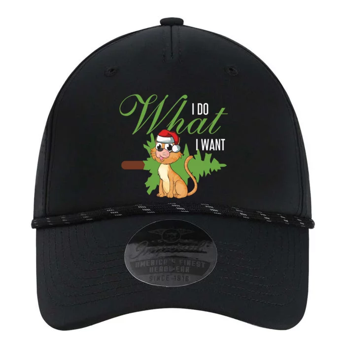 I Do What I Want Cat Wearing Santa Hat Sarcastic Christmas Meaningful Gift Performance The Dyno Cap