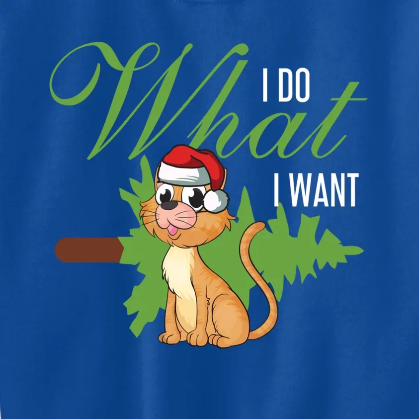 I Do What I Want Cat Wearing Santa Hat Sarcastic Christmas Meaningful Gift Kids Sweatshirt