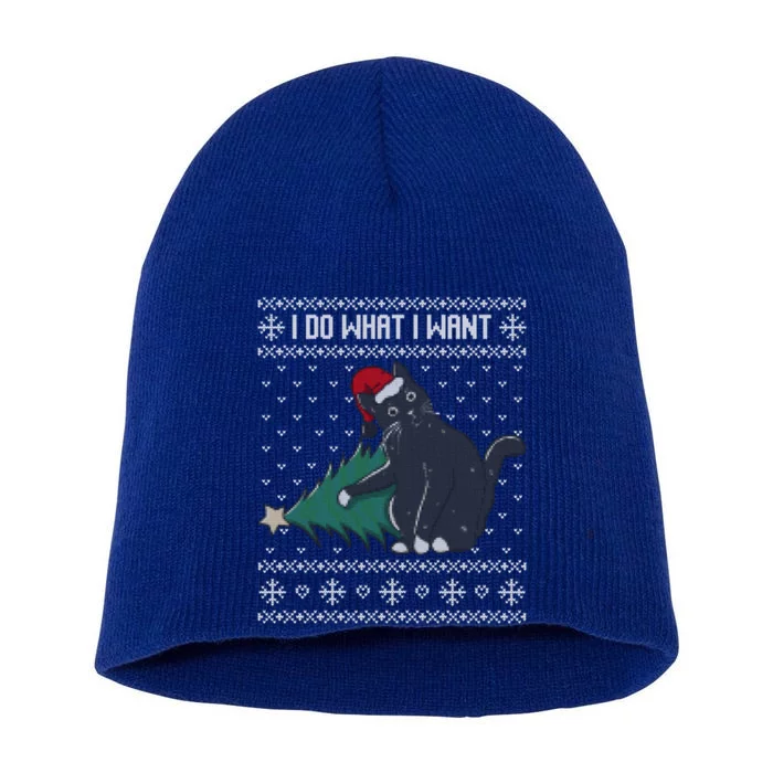 I Do What I Want Santa Cat Christmas Tree Ugly Sweater Xmas Cute Gift Short Acrylic Beanie