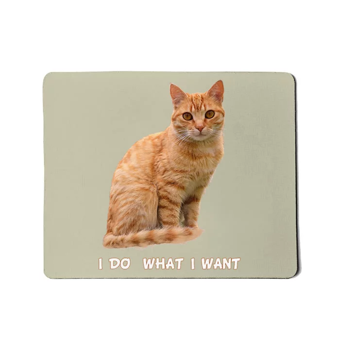 I Do What I Want Funny Orange Tabby Cat Lovers Gifts Mousepad