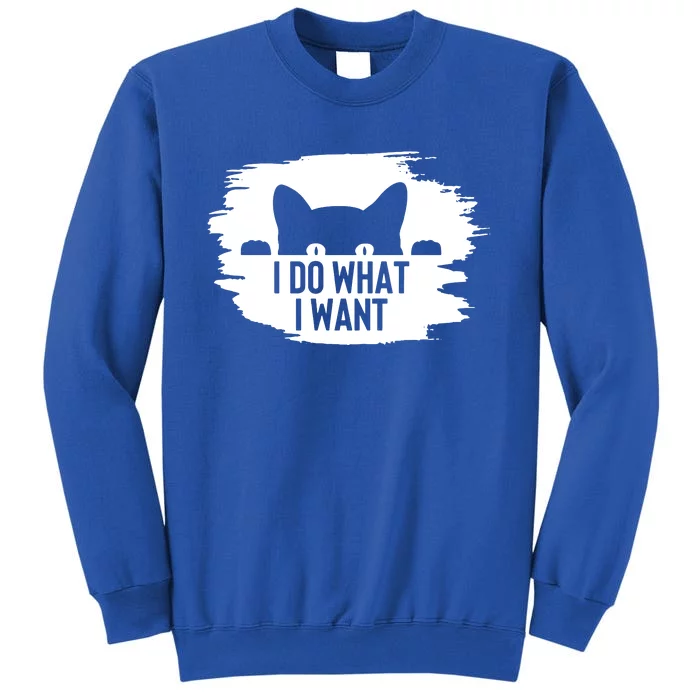 I Do What I Want Tall Sweatshirt