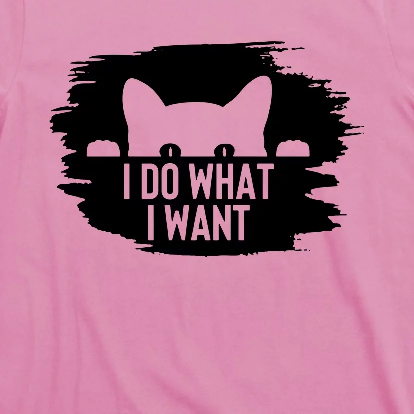 I Do What I Want T-Shirt