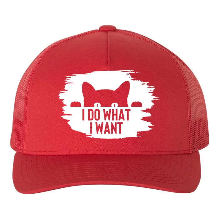 I Do What I Want Yupoong Adult 5-Panel Trucker Hat