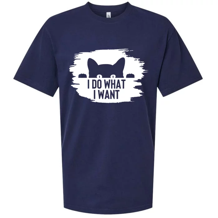 I Do What I Want Sueded Cloud Jersey T-Shirt