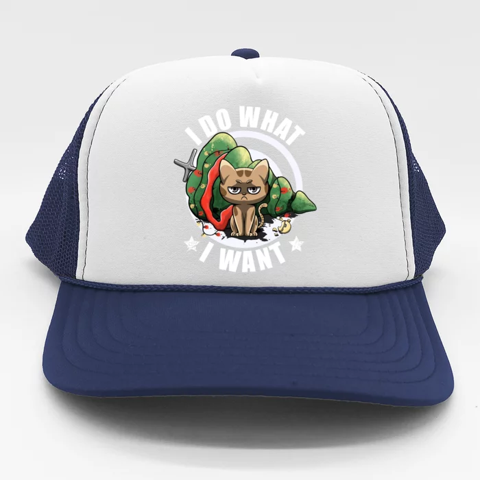 I Do What I Want Funny Cat Dad Cat Moms Christmas Cat Lovers Cool Gift Trucker Hat