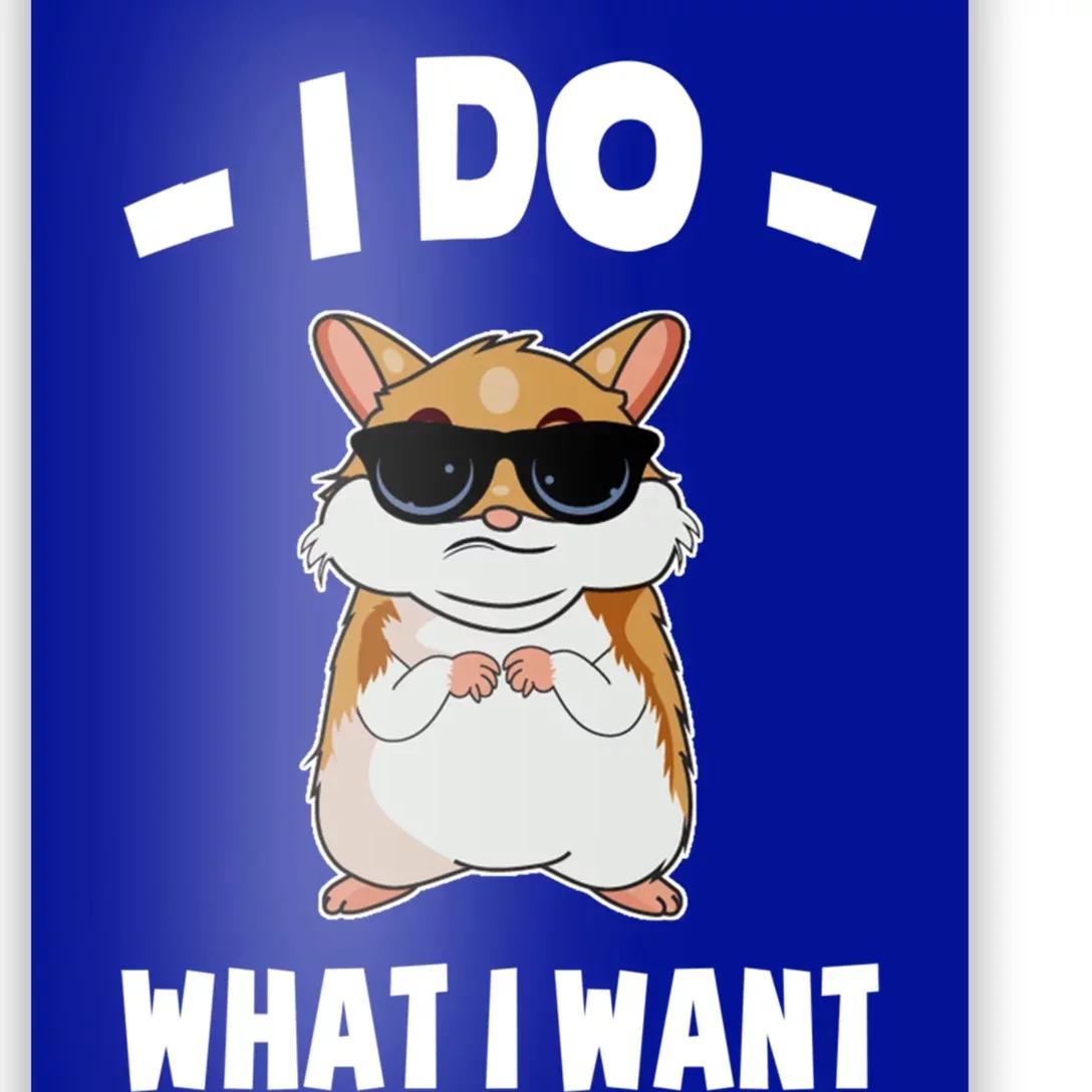 I Do What I Want Meaningful Gift Hammy Funny Hamster Gift Poster