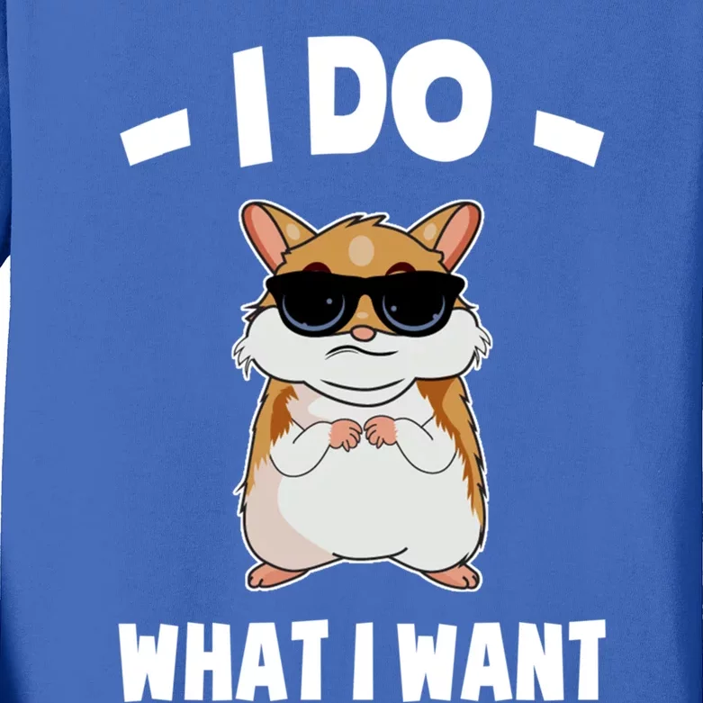 I Do What I Want Meaningful Gift Hammy Funny Hamster Gift Kids Long Sleeve Shirt