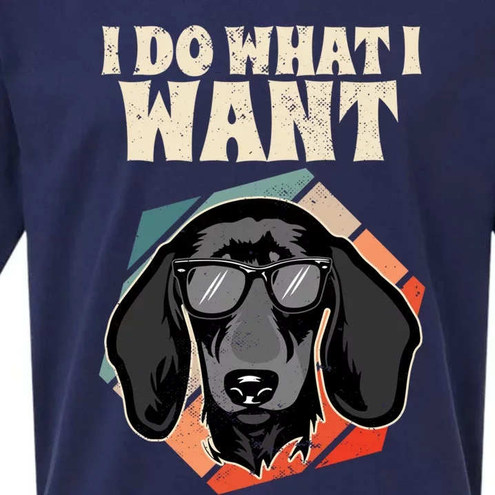 I Do What I Want I Retro Wiener Dog I Dachshund Gift Sueded Cloud Jersey T-Shirt