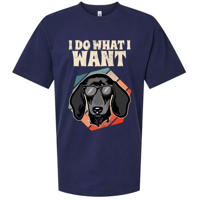 I Do What I Want I Retro Wiener Dog I Dachshund Gift Sueded Cloud Jersey T-Shirt