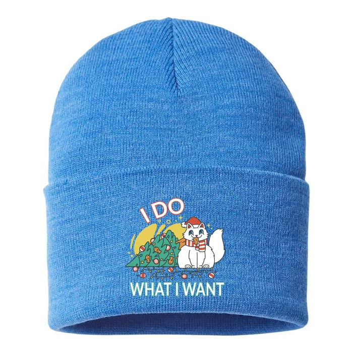 I Do What I Want Mischievous Christmas Cat Great Gift Sustainable Knit Beanie