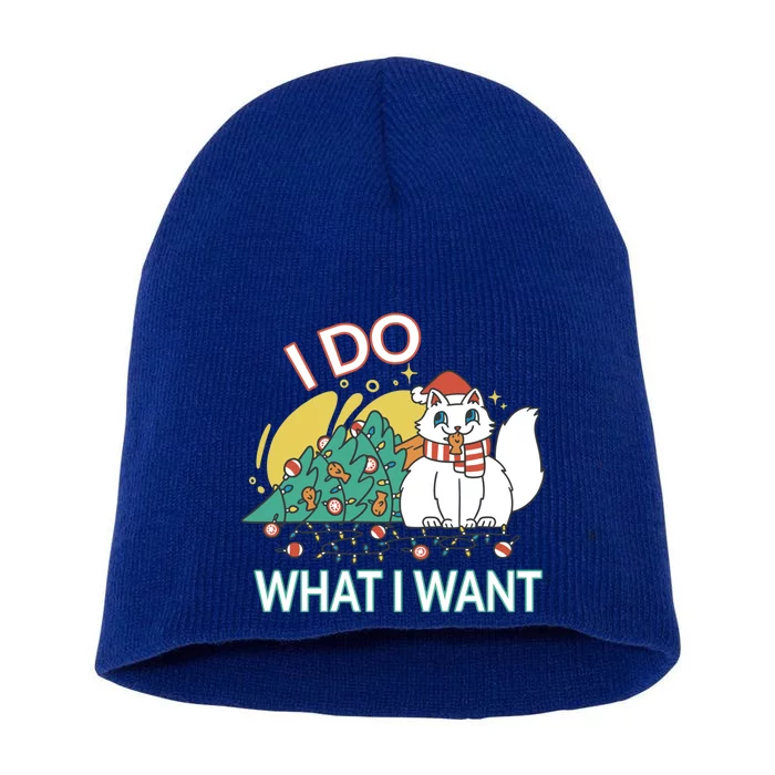 I Do What I Want Mischievous Christmas Cat Great Gift Short Acrylic Beanie