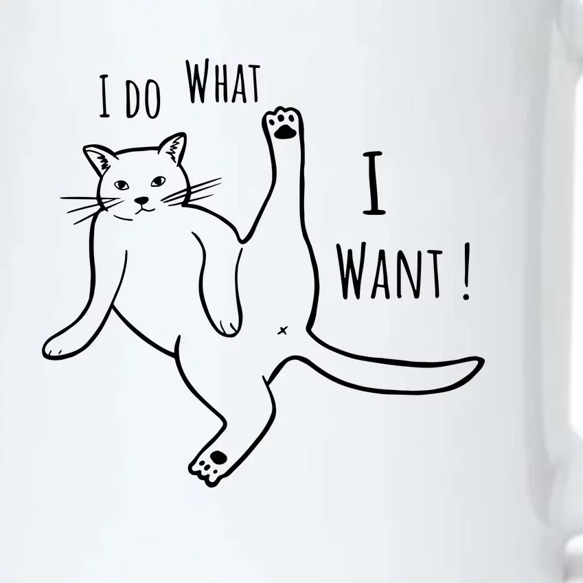 I Do What I Want Cat Black Color Changing Mug