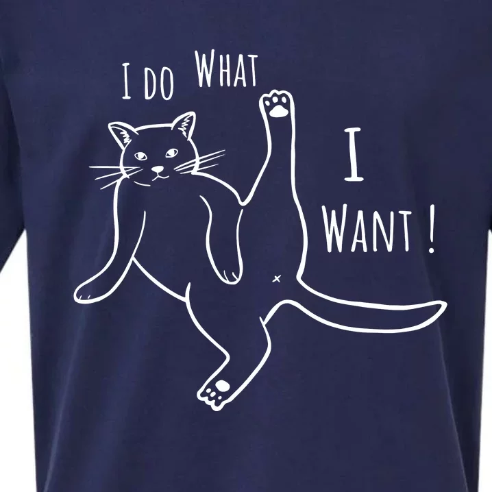 I Do What I Want Cat Sueded Cloud Jersey T-Shirt