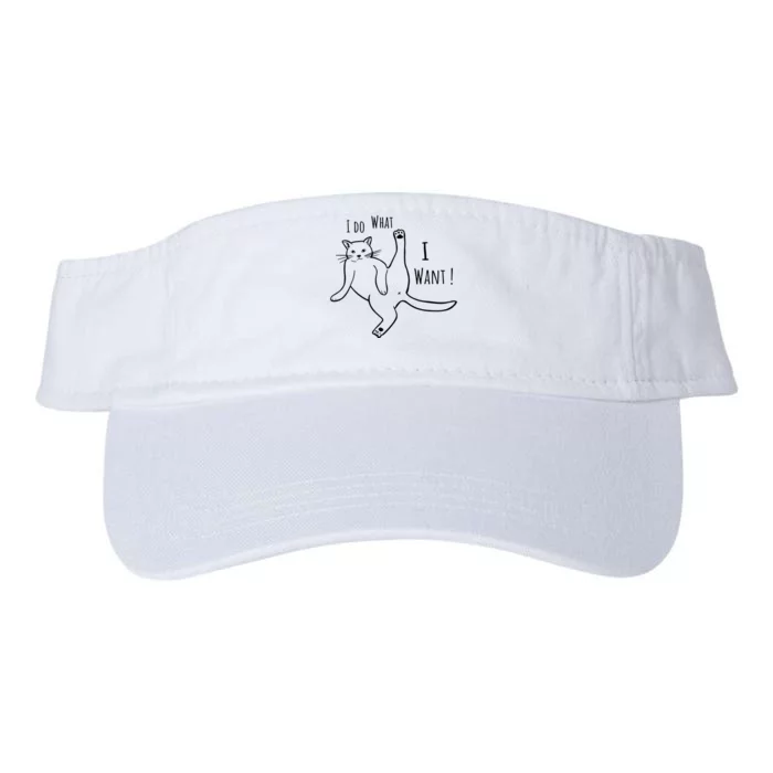 I Do What I Want Cat Valucap Bio-Washed Visor