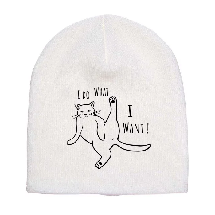 I Do What I Want Cat Short Acrylic Beanie