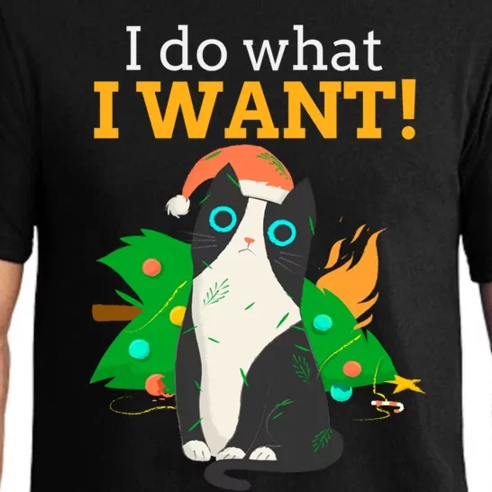 I Do What I Want Cat Christmas Funny Graphic Great Gift Pajama Set