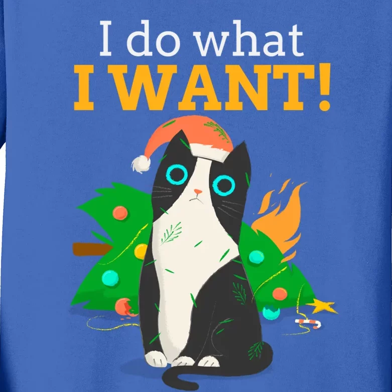 I Do What I Want Cat Christmas Funny Graphic Great Gift Kids Long Sleeve Shirt