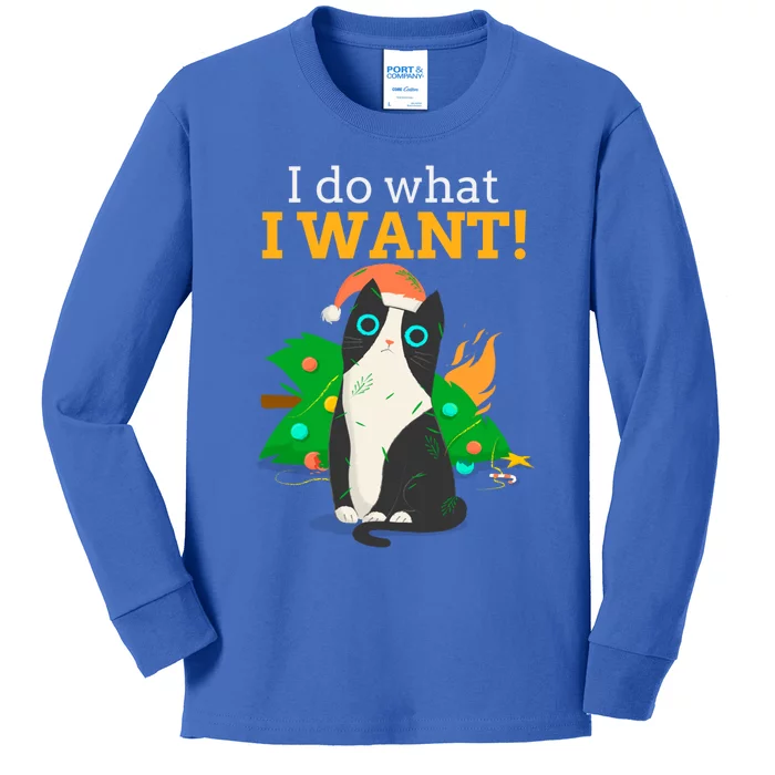 I Do What I Want Cat Christmas Funny Graphic Great Gift Kids Long Sleeve Shirt