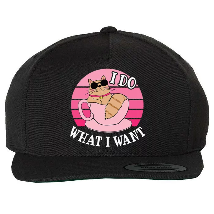 I Do What I Want Funny Cat Lover Teacup Wool Snapback Cap