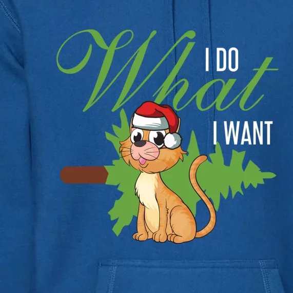 I Do What I Want Cat Wearing Santa Hat Sarcastic Christmas Great Gift Premium Hoodie