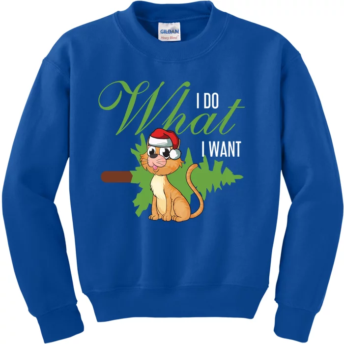 I Do What I Want Cat Wearing Santa Hat Sarcastic Christmas Great Gift Kids Sweatshirt