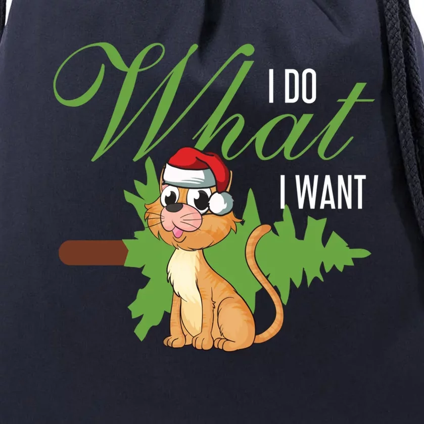 I Do What I Want Cat Wearing Santa Hat Sarcastic Christmas Great Gift Drawstring Bag