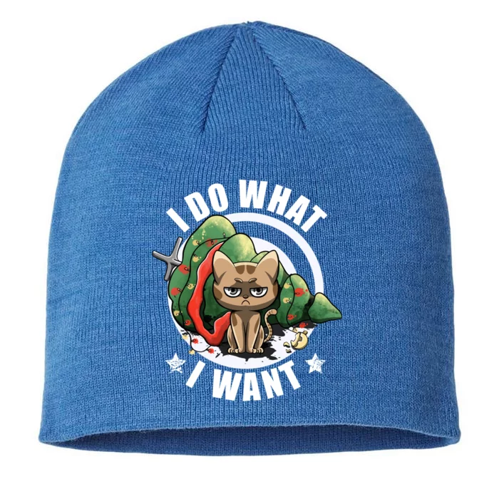 I Do What I Want Funny Cat Dad Cat Moms Christmas Cat Lovers Gift 8 1/2in Sustainable Knit Beanie