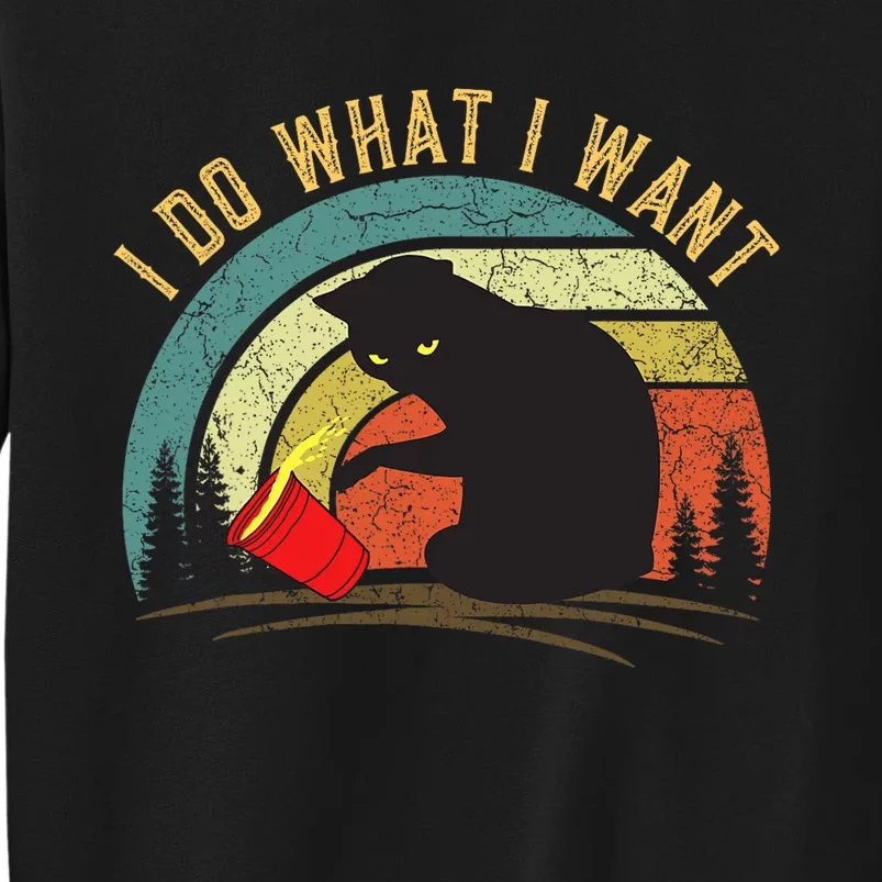 I Do What I Want Cat Coffee Black Cat Red Cup Funny Graphic Tall Sweatshirt