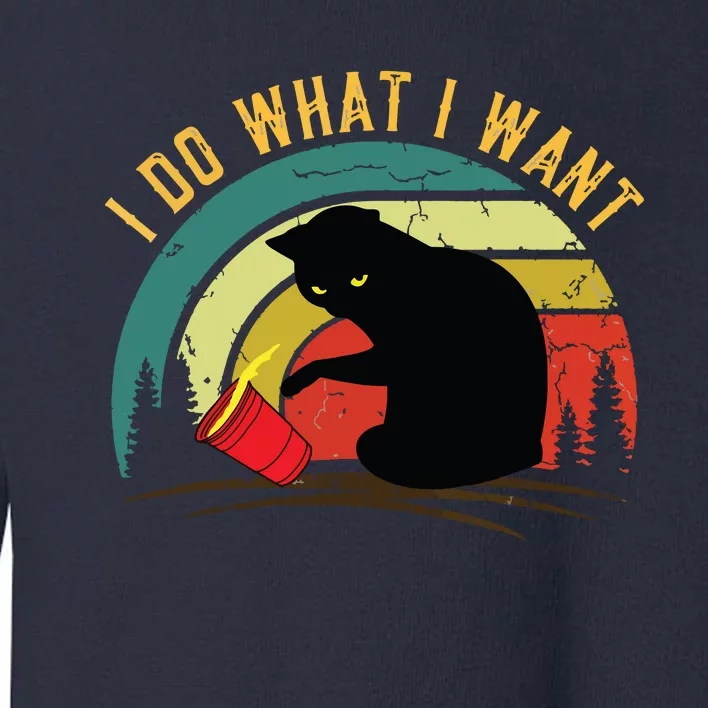 I Do What I Want Cat Coffee Black Cat Red Cup Funny Graphic Toddler Sweatshirt