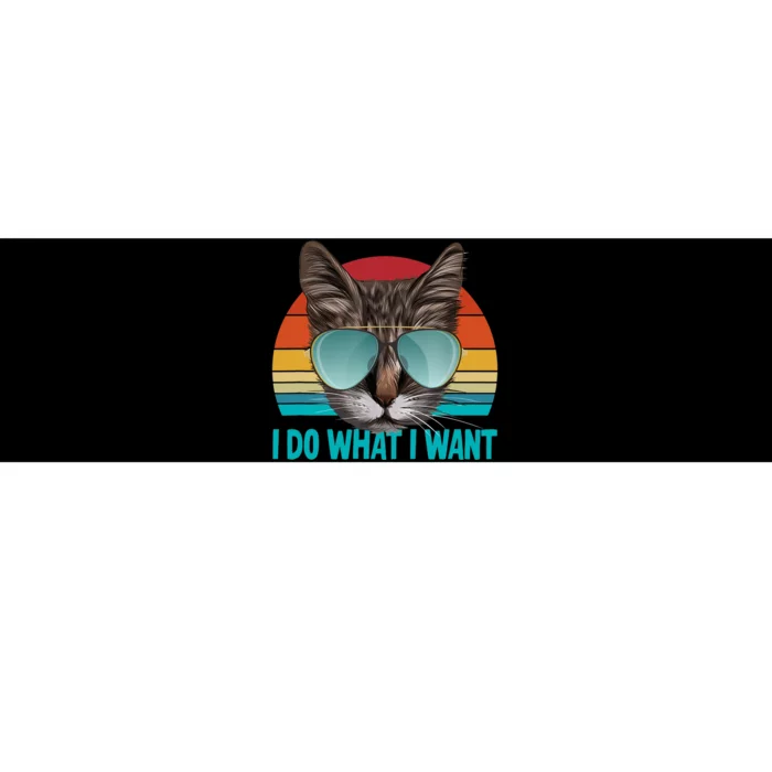 I Do What I Want Cat Bumper Sticker