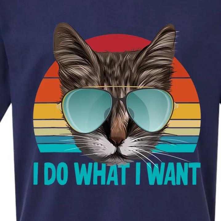 I Do What I Want Cat Sueded Cloud Jersey T-Shirt