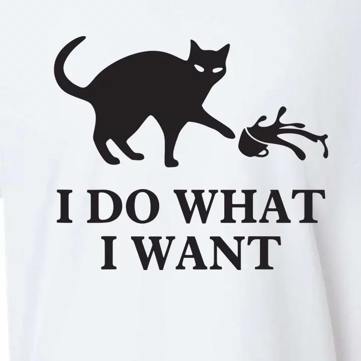 I Do What I Want Cat Gift Sueded Cloud Jersey T-Shirt