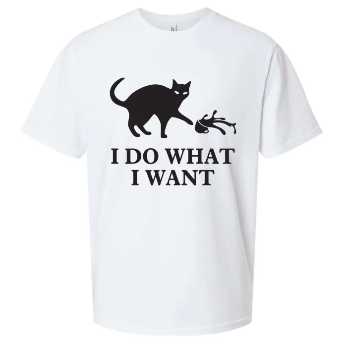 I Do What I Want Cat Gift Sueded Cloud Jersey T-Shirt