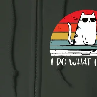 I Do What I Want Funny Black Cat Lovers Full Zip Hoodie