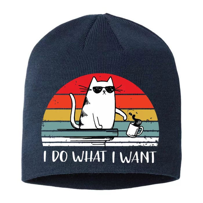 I Do What I Want Funny Black Cat Lovers 8 1/2in Sustainable Knit Beanie