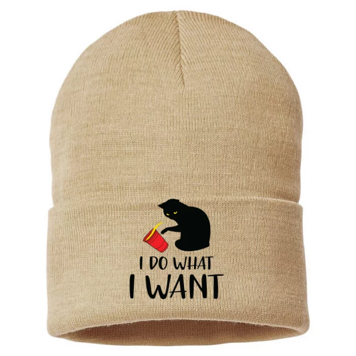 I Do What I Want Funny Black Cat Red Cup Funny My Cat Sustainable Knit Beanie