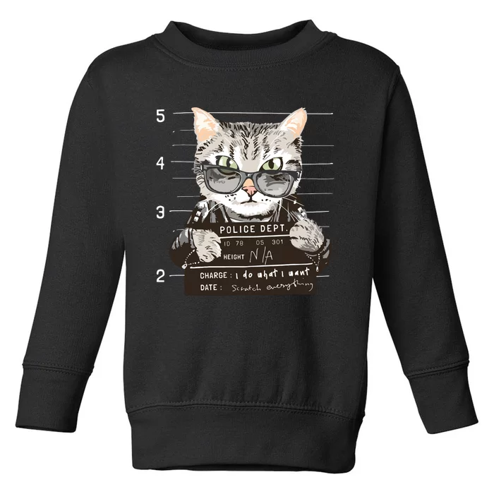 I Do What I Want Funny Cat Scratched Everything Toddler Sweatshirt