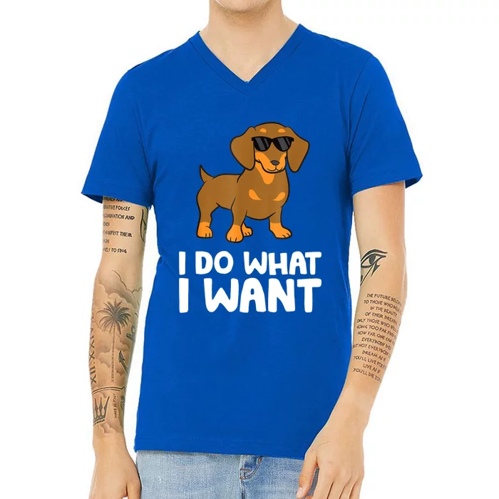 I Do What I Want Cute Dachshund Gift V-Neck T-Shirt