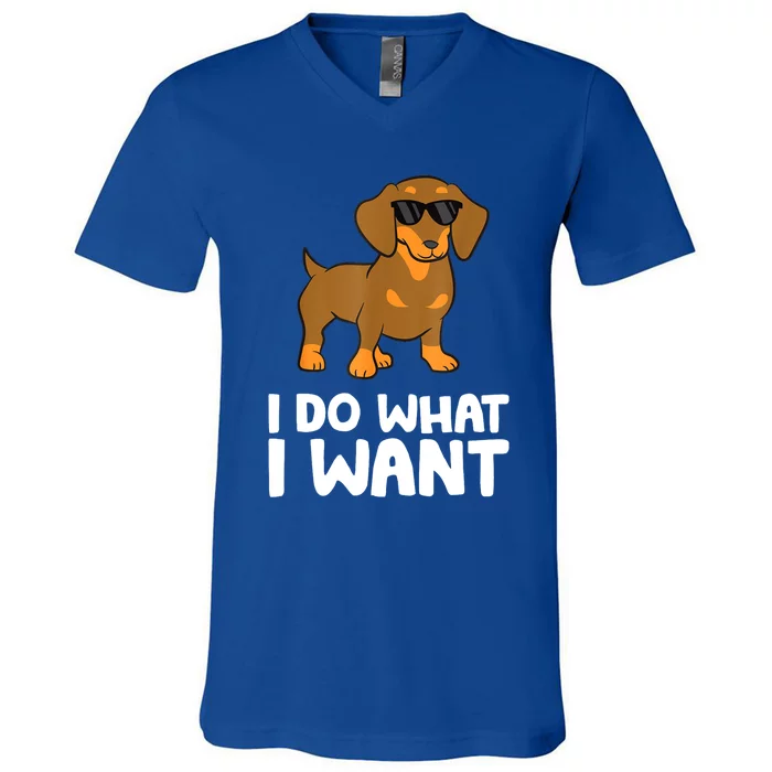 I Do What I Want Cute Dachshund Gift V-Neck T-Shirt