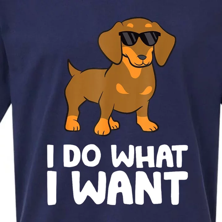 I Do What I Want Cute Dachshund Gift Sueded Cloud Jersey T-Shirt