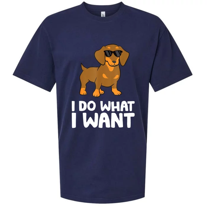 I Do What I Want Cute Dachshund Gift Sueded Cloud Jersey T-Shirt