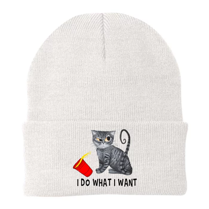 I Do What I Want Cat Coffee Black Cat Red Cup Funny Graphic Knit Cap Winter Beanie