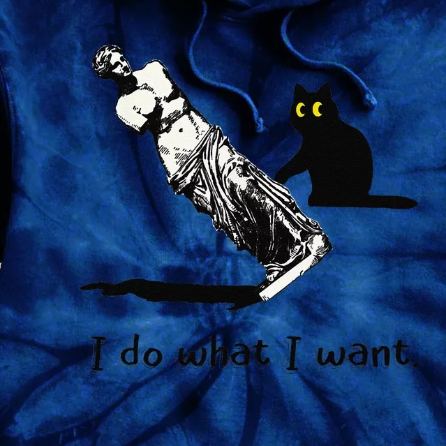 I Do What I Want Black Cat Pushes Venus De Milo Funny Cat Tie Dye Hoodie